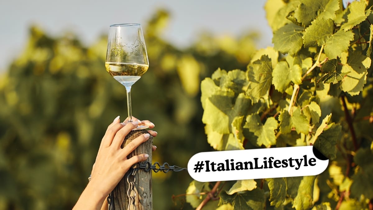 Italian White Wine guide